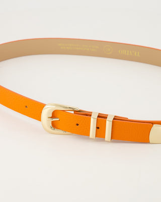Dune Belt - Oranje