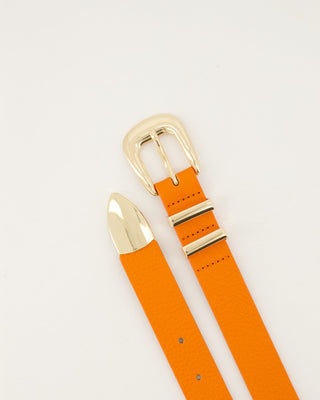 Dune Belt - Oranje