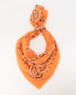 Ivo Scarf - Oranje