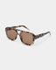 Kaya Sunglasses - Coquina