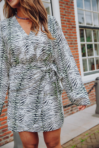 Liselle Dress - Zebra