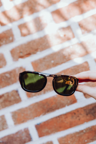 Max Sunglasses - Demi Tortoise