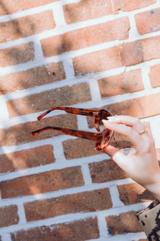 Max Sunglasses - Havana