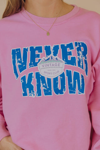 Never Know Sweater - Roze