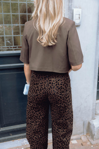 Celine Jeans - Leopard